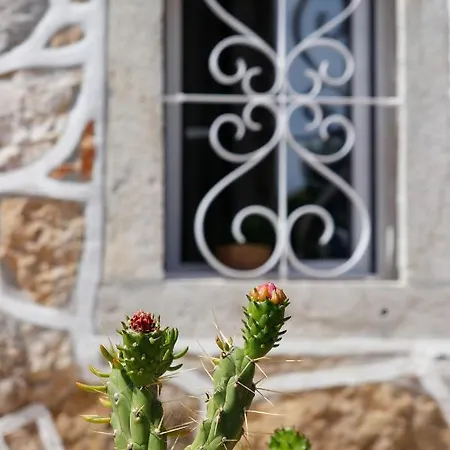 דירה Vila Maria פארדס