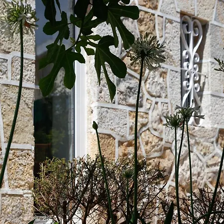 Vila Maria דירה פארדס